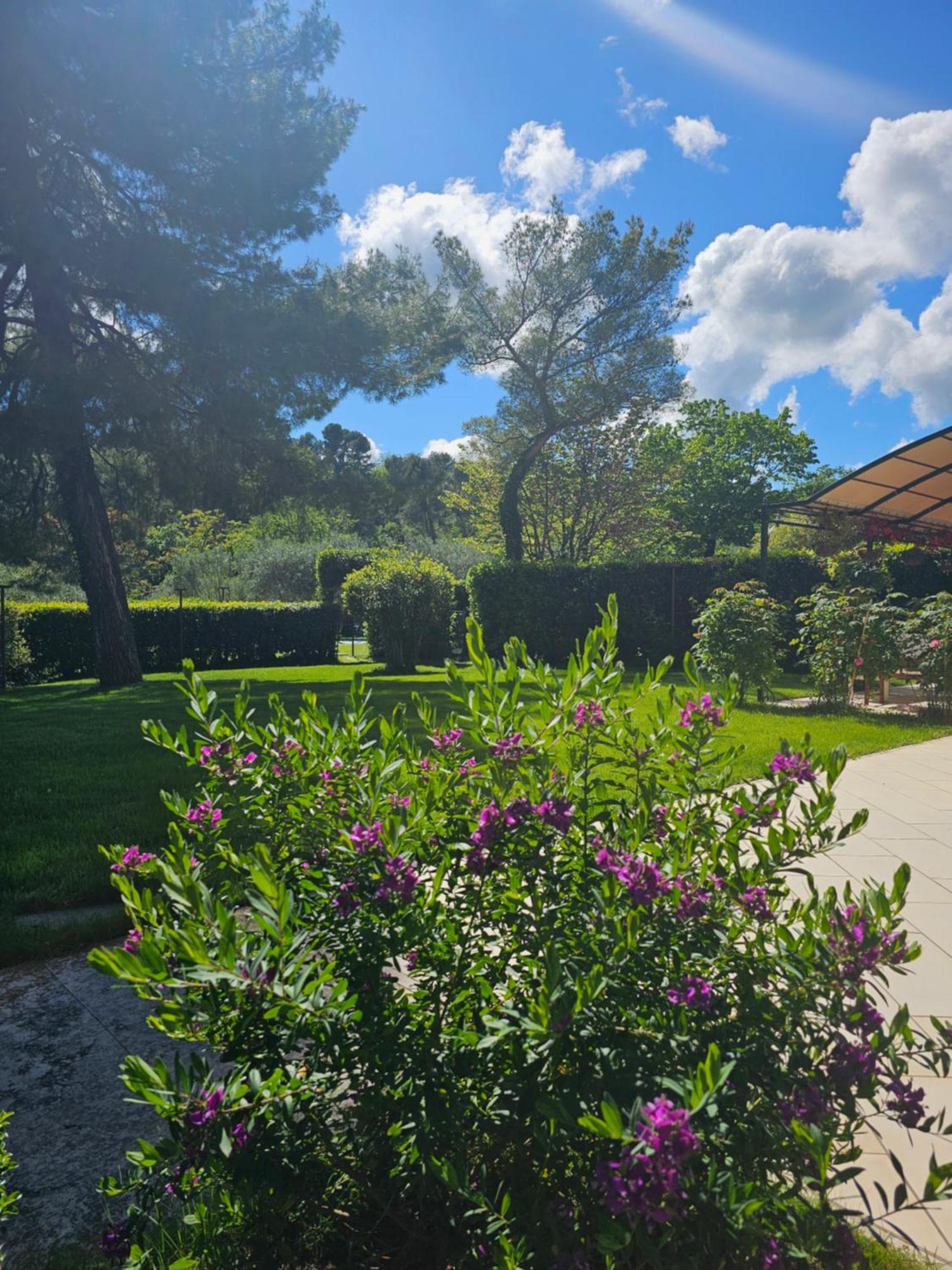 Villa Monacelli B&B ฟาโน ภายนอก รูปภาพ